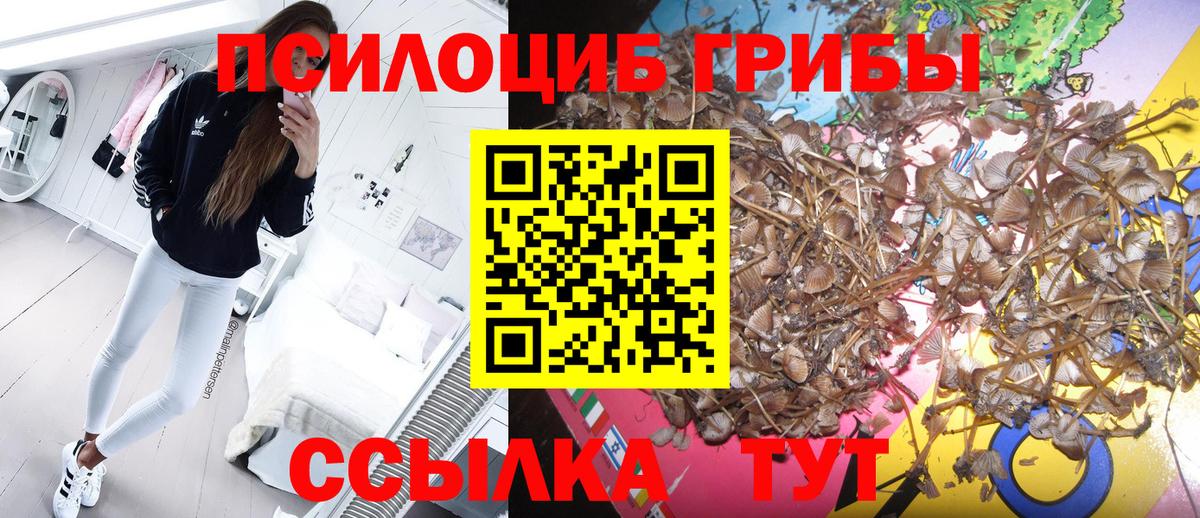 Галлюциногенные грибы GOLDEN TEACHER Острогожск